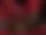 Fétichiste des pieds, footjob - ta bite d'esclave recouverte de nylon est traite par les gants rouges doux et les pieds en collants transparents de ta déesse.