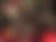 Prosterne-toi devant ta déesse. Adore et paie !