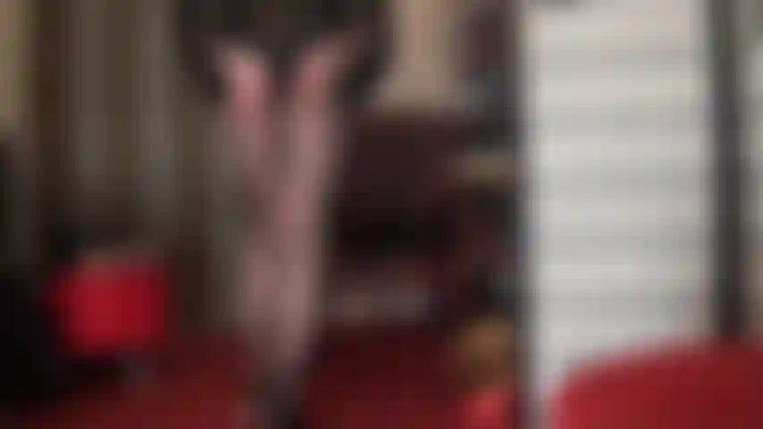 Un joli collant à motif zigzag. J'adore les courbes envoûtantes de ma maîtresse dans cette paire de collants spéciale.