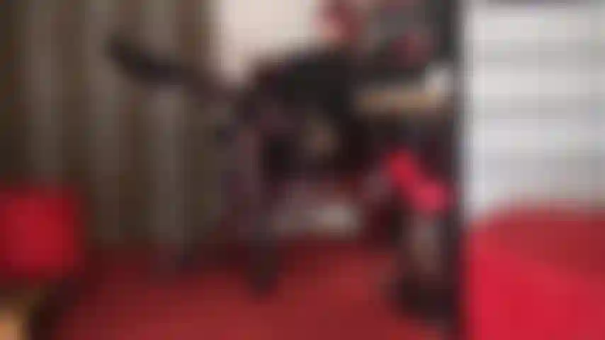 Séduction par les bas et les jarretières - il y a juste quelque chose dans les bas en dentelle large et les jarretières sur les collants qui rendent votre bite d'esclave dure et palpitante...