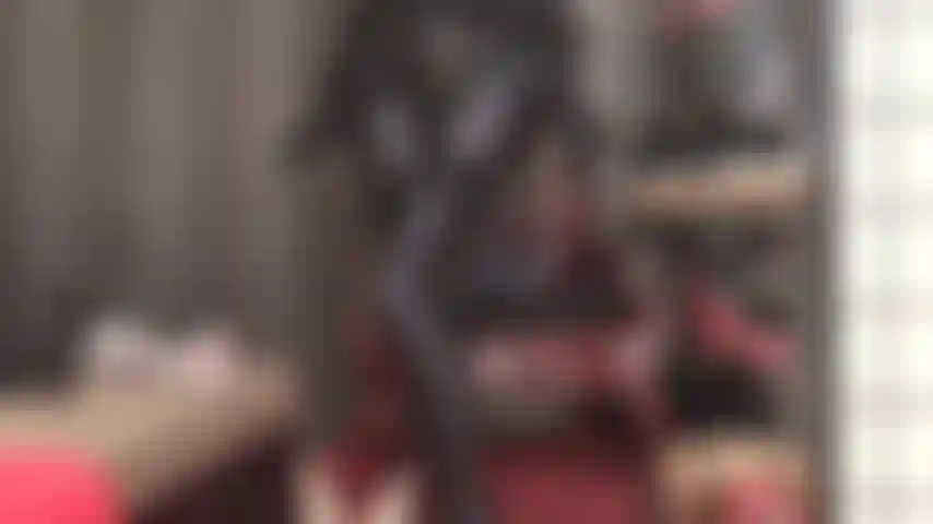 Lentement, très lentement, ma maîtresse taquinera le sperme de ta bite avec son cul brillant, ses jambes et ses pieds en collants spandex leohex gris et en bas porte-jarretelles superposés.