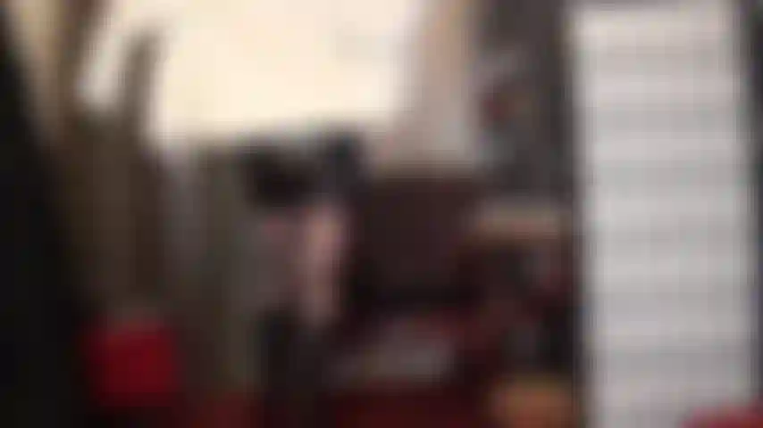 Maîtresse vivian aime les manteaux de fourrure douce...