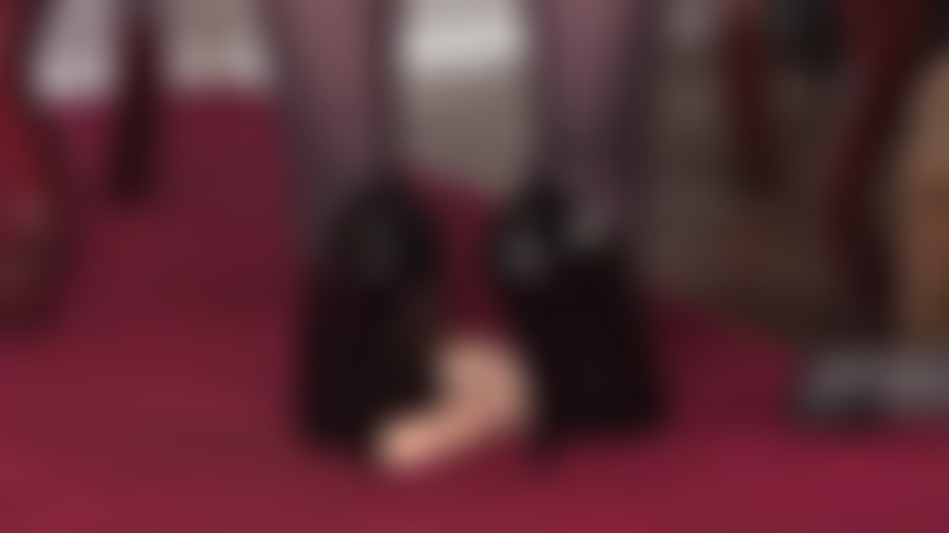 Les talons de la maîtresse taquinent la chair faible - c'est exactement ce dont votre bite d'esclave a besoin en ce moment...