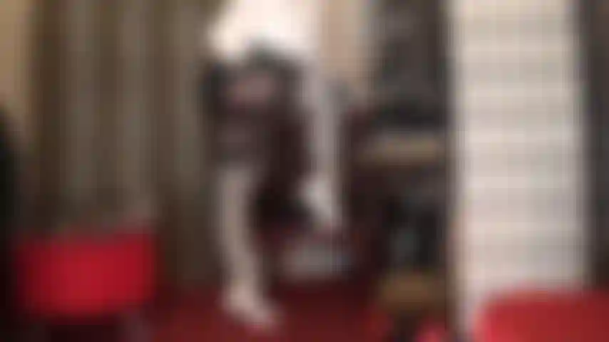 Des bas blancs brillants et des jarretières superposés sur des collants en spandex marron métallisé - quelle tenue incroyablement jolie à adorer... Des talons blancs, un chemisier et des gants en cuir noir explorant lentement les merveilleuses courbes de la maîtresse.