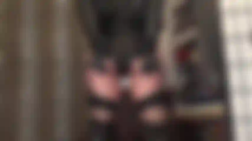 Une adoration du cul et une branlette avec des gants en similicuir, dans un short en lycra taille haute, avec des bas, des jarretières et de hautes bottes en cuir. Une tenue à laquelle on ne peut résister et qui donne envie de se vider les couilles. Regardez-la encore et encore jusqu'à ce qu'elles soient vides.