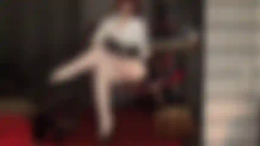 Ta déesse en nylon trait ta bite sur ses jambes croisées dans des collants blancs extra brillants.