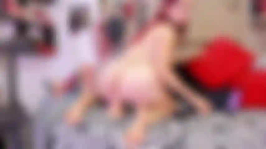 J'adore le sexe anal.