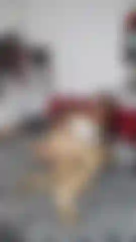 Anale excitée avec des jouets.