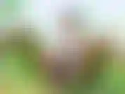 Je joue avec un jouet en plein air pour jouir. Sens-moi et contrôle mon jouet. Vidéo en extérieur de moi en train de jouir.