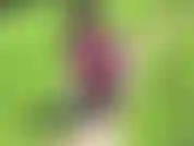 Des seins en public ! Suce un jouet ! Fétiches leggins.