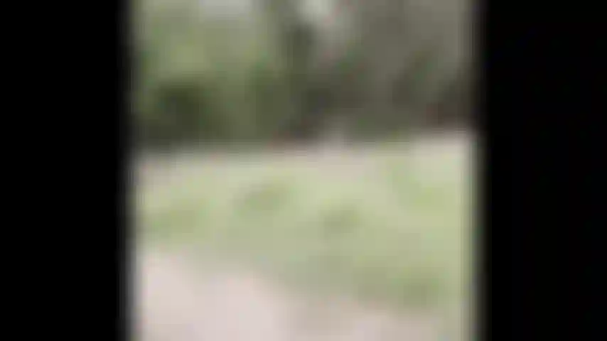 Randonnée nue - regardez-moi me déshabiller dans les bois.