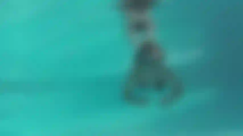 underwater swimming in the pool