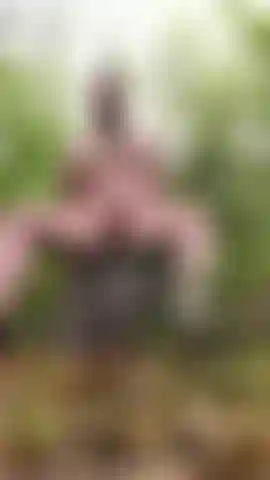 Laisse-moi te monter ici.