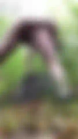 Un gode anal dans les bois.