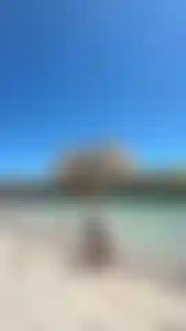 Regardez cette vidéo !