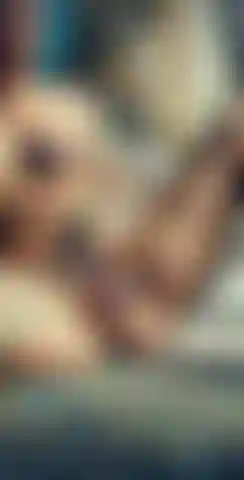 Jeu de chatte arc-en-ciel.