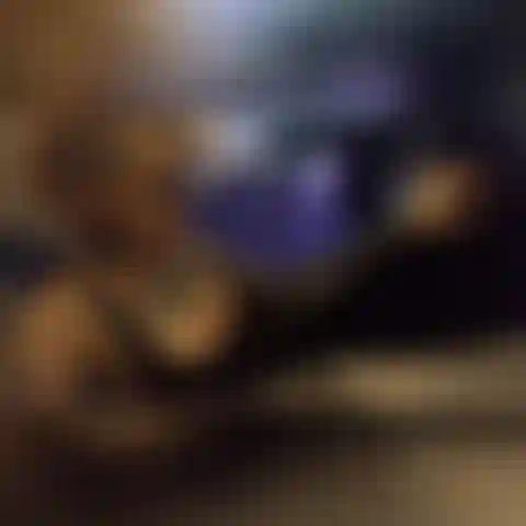 2021 Une chatte en gode.