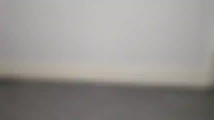 Culte-coutume du veau commandé et dirigé par un amoureux de mes mollets forts !