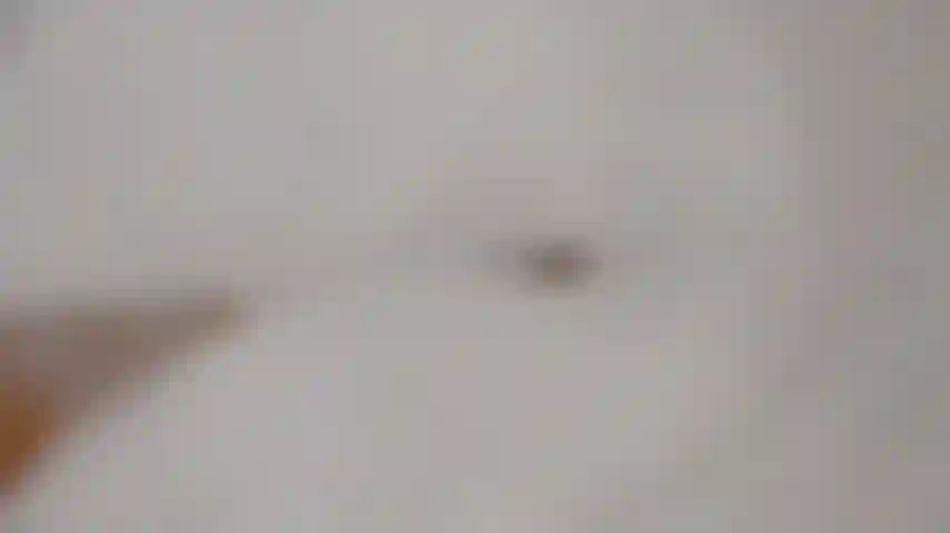 Les pieds/jambes dans un bain moussant.