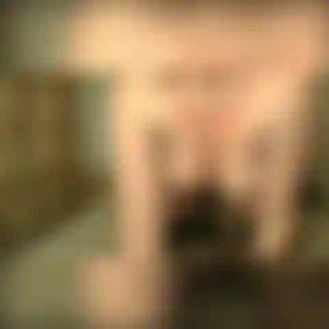 Une fellation et une baise anale.