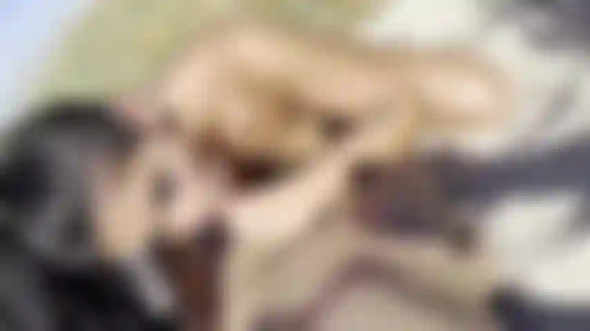 blowjob on the beach