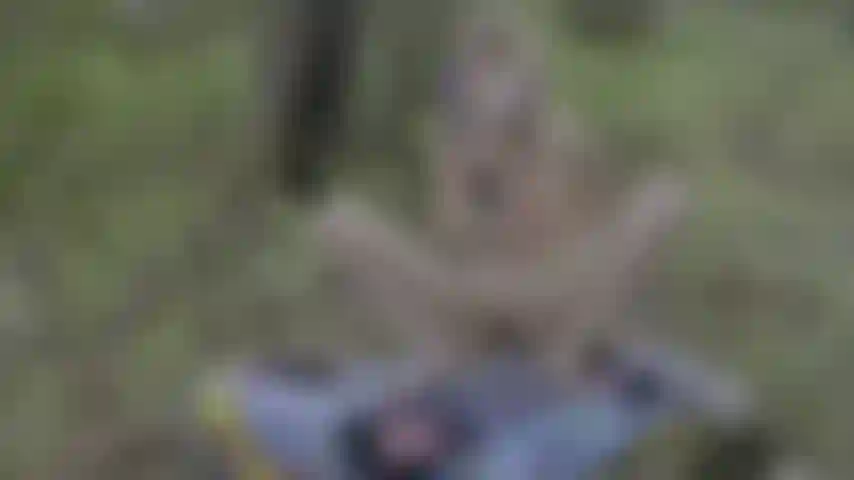 Goth babe orgasmes bruyants dans la forêt avec jeu anal.