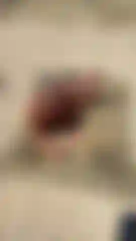 Sale dans le désert.