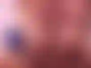 Les seins taquinent.