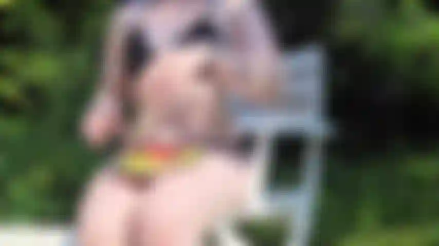 L'été bat son plein ! Regardez-moi dévorer cette pastèque juteuse en faisant bronzette dans mon bikini !