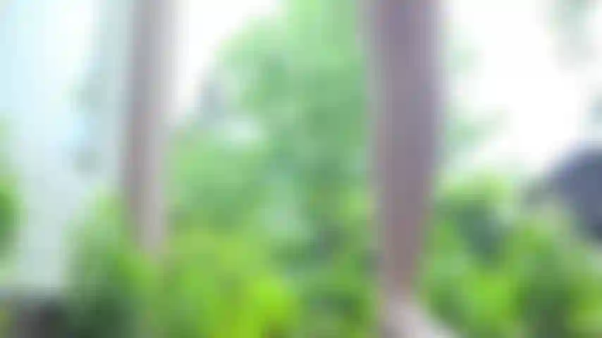 Watch me tame my wild pussy into a gorgeously-shaped landing strip! 😻 I enjoyed filming this outdoors during a rainstorm 🥰