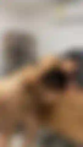 Je fais une pipe sur le bureau de mon patron pendant qu'il n'est pas là.