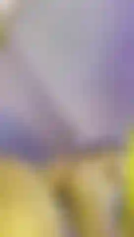 My tight ass is waiting for you ...