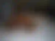 J'étais allongée dans mon lit dans mes collants alors que j'étais sur skype avec mon petit ami. Je m'exhibais pour lui avec mon vibe mais je ne savais pas que tu m'espionnais pendant que nous descendions... Pervers !!