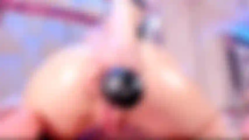 my ass is ready to be vibrated
