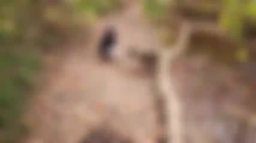 Retourne à squirt creek. Regardez ce doigt de milf gros et tatoué baiser sa chatte poilue jusqu'à ce qu'elle éjacule plusieurs explosions de sperme de fille dans le ruisseau ci-dessous.