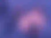 Regarde mon show privé.