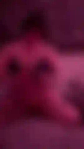 Night 2 of training my ass