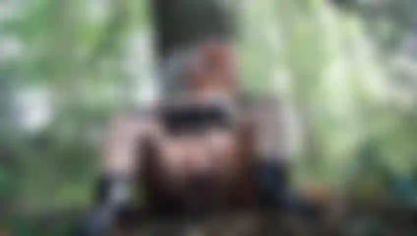 Masturbation en plein air - doigté cumshow dans les bois.