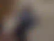 Chav en collants qui se moque de ton fétiche. Tu as un faible pour les salopes comme moi, un fétiche si embarrassant mais tu ne peux pas t'en empêcher. Tu aimes baiser des putes trash bon marché portant des collants.