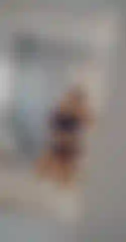 Quand elle est grosse et qu'elle a un gros butin.