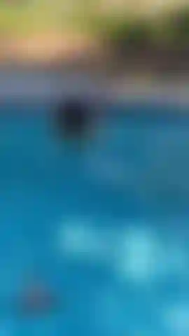 15 Minutes de baise et de succion de mon torse ami isaac dans ma piscine.