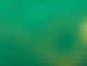 Comme j'attends qu'une entreprise mette en place son set, leur gars bts est venu vers moi. Il était comme quoi faire et je suis sûr qu'il voulait une sorte d'interview, mais à la place, j'ai décidé de sucer la bite et de la baiser.