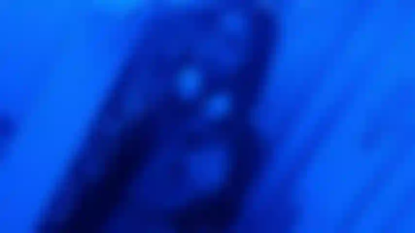 Stip dans les toilettes de l'avion.