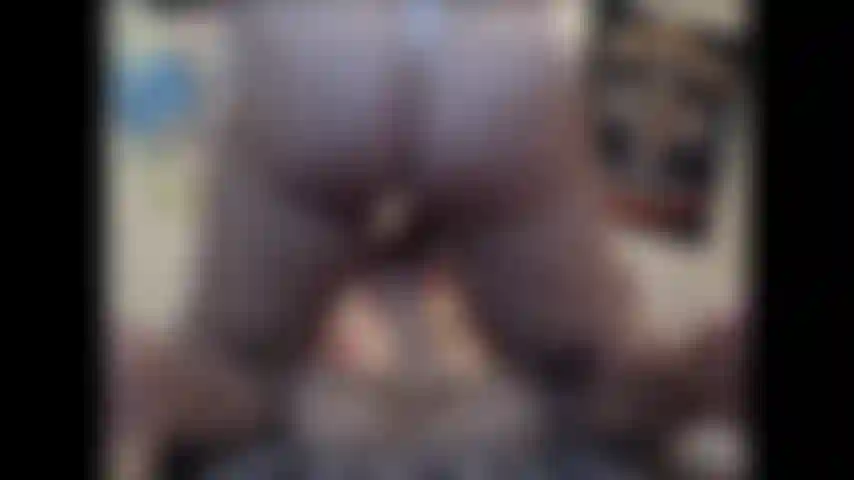 Sling shot ride - vidéo personnalisée où je porte un bikini slingshot, un cadeau de leur part, et je chevauche mon jouet préféré jusqu'à ce que je jouisse. Je n'oublie jamais de le lécher juste après... Pas hd.