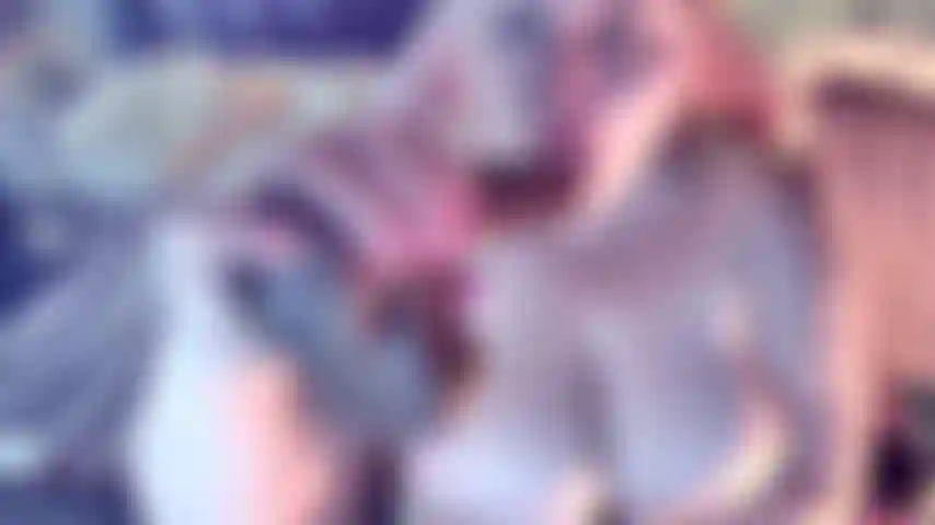 D'énormes #messytits voient une énorme quantité de #crachats que je reçois en suçant ce gode #bbc faisant couler le #crachat sur mes énormes seins naturels et faisant des dégâts partout comme je le ferais avec ta bite, je la #titfuck et je te supplie pour ton sperme, je te montre quelle salope je suis #désordonnée.