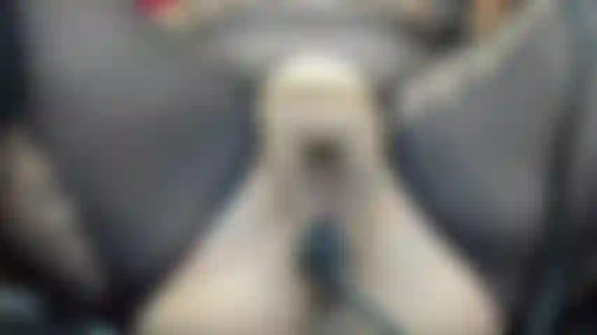 Une chatte en ruine.