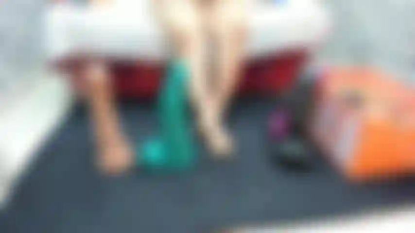 Chatte jouet cheval !!!!