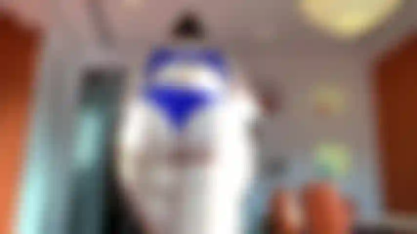 Si vous êtes fan de cul, cette vidéo est pour vous.