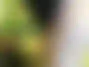 Secouer mon cul en le faisant applaudir et te taquiner avec ça te fera jouir si fort.