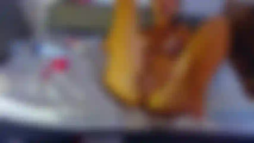 Chatte blanche crème.